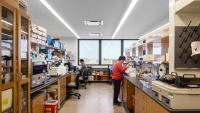 people working at a lab